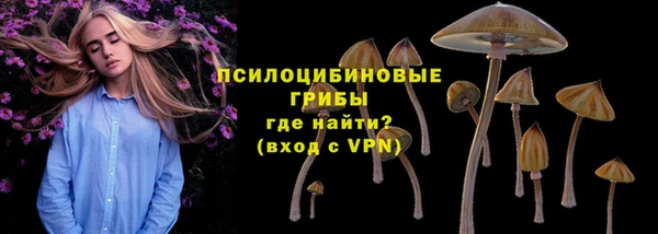 хмурый Алексеевка