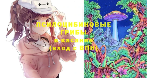 хмурый Алексеевка