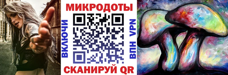 Псилоцибиновые грибы Cubensis  Павловская 